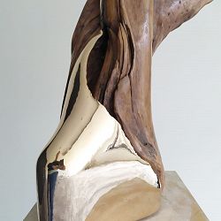 flow-14-1655984374.JPG