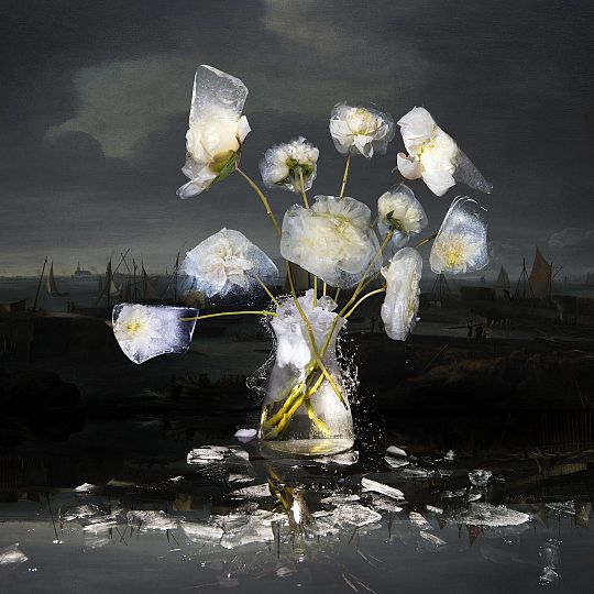 flowers-of-ice-1589822376.jpg