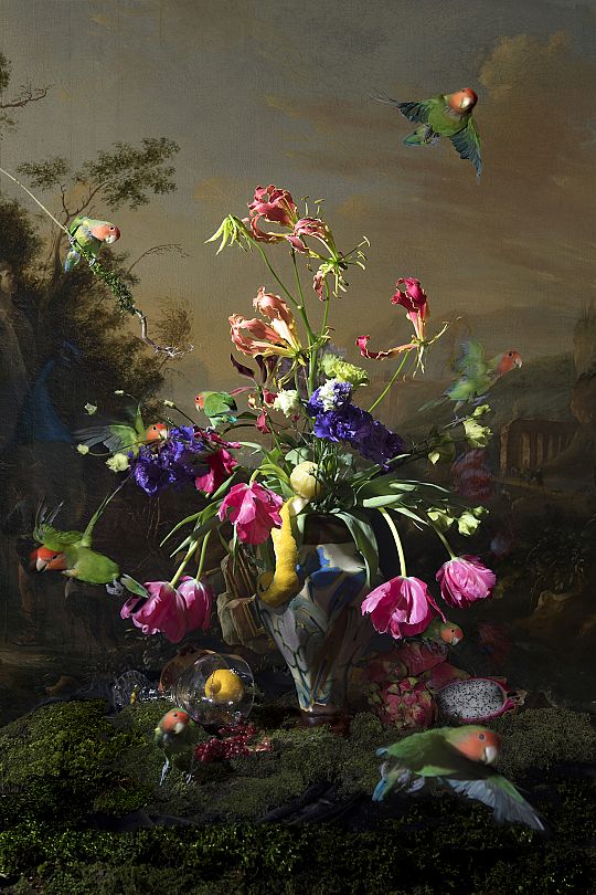 hans-withoos-2016-matthias-withoos-1672-stillife-with-parrots-lichter-1590590542.jpg