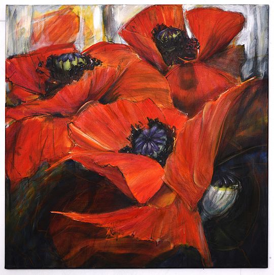 papaver243-1709201030.jpg